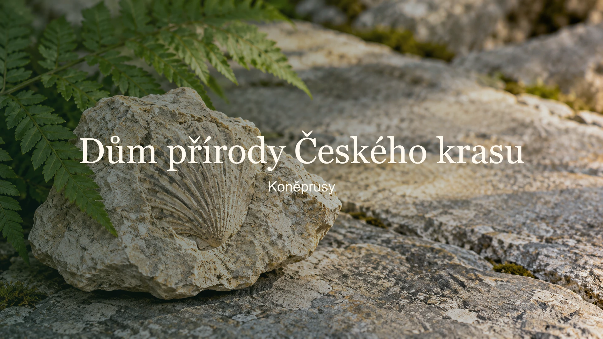 Vápenec s otiskem schránky a kapradina s názvem Dům přírody Českého krasu a lokalitou Koněprusy.