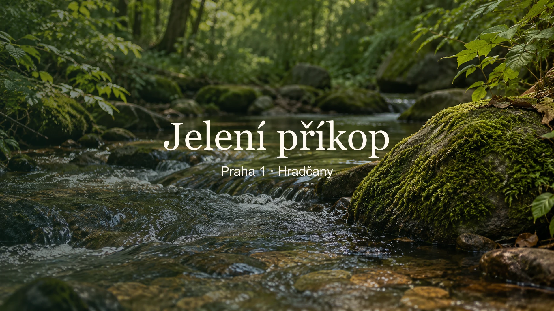 Jelení příkop – fotografický detail s jemně rozostřeným přírodním pozadím a názvem uprostřed.