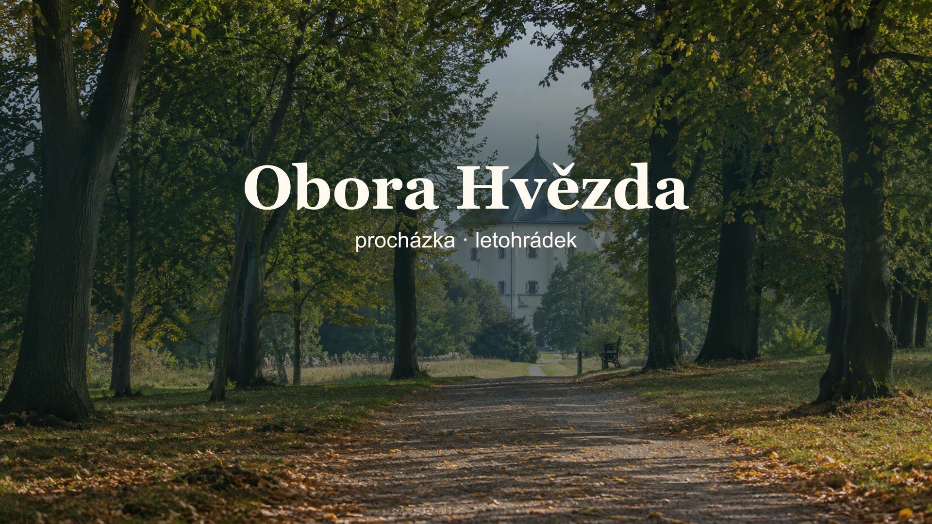 Stinná alej v pražské Oboře Hvězda s letohrádkem v dálce.