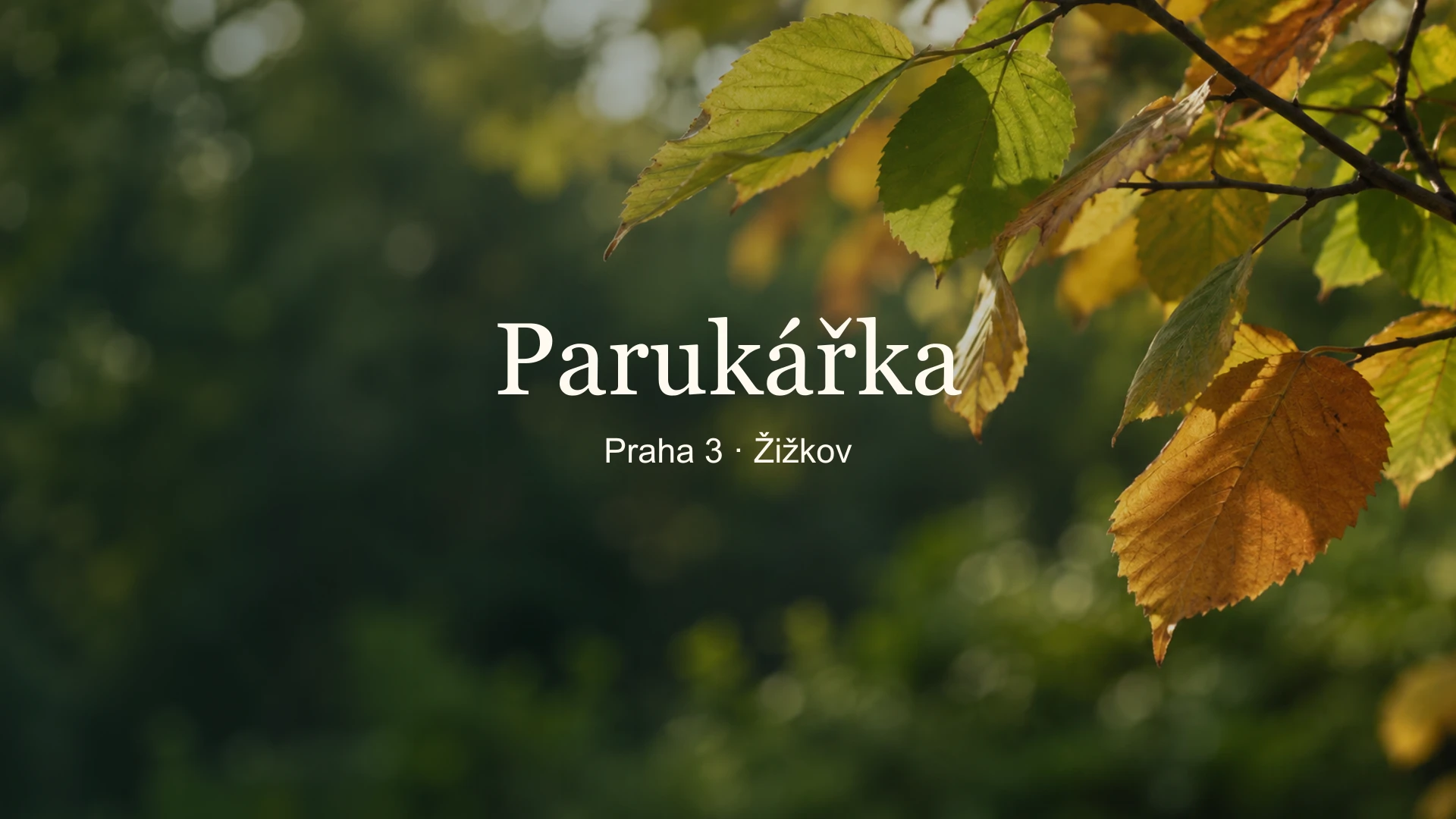 Parukářka – tematický náhled s jemně rozostřeným pozadím a názvem uprostřed.