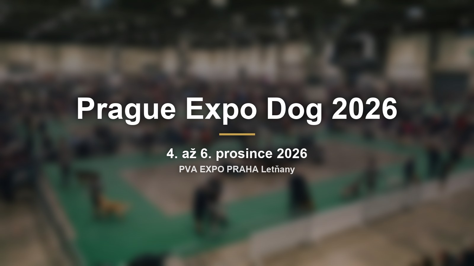 Prague Expo Dog 2026: tři výstavy psů za jeden víkend v Letňanech